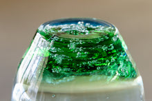 画像をギャラリービューアに読み込む, バドロック グラス