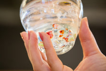 画像をギャラリービューアに読み込む, バドロック グラス パンジー