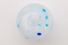 画像をギャラリービューアに読み込む, コスモス 長たるグラス