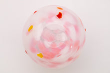 画像をギャラリービューアに読み込む, コスモス 長たるグラス