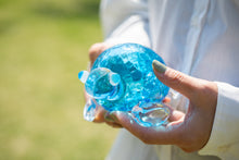 画像をギャラリービューアに読み込む, ウミガメの置物 親ガメ