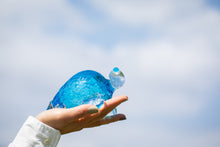 画像をギャラリービューアに読み込む, ウミガメの置物 親ガメ