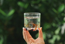 画像をギャラリービューアに読み込む, アクアリーフ ロックグラス 赤