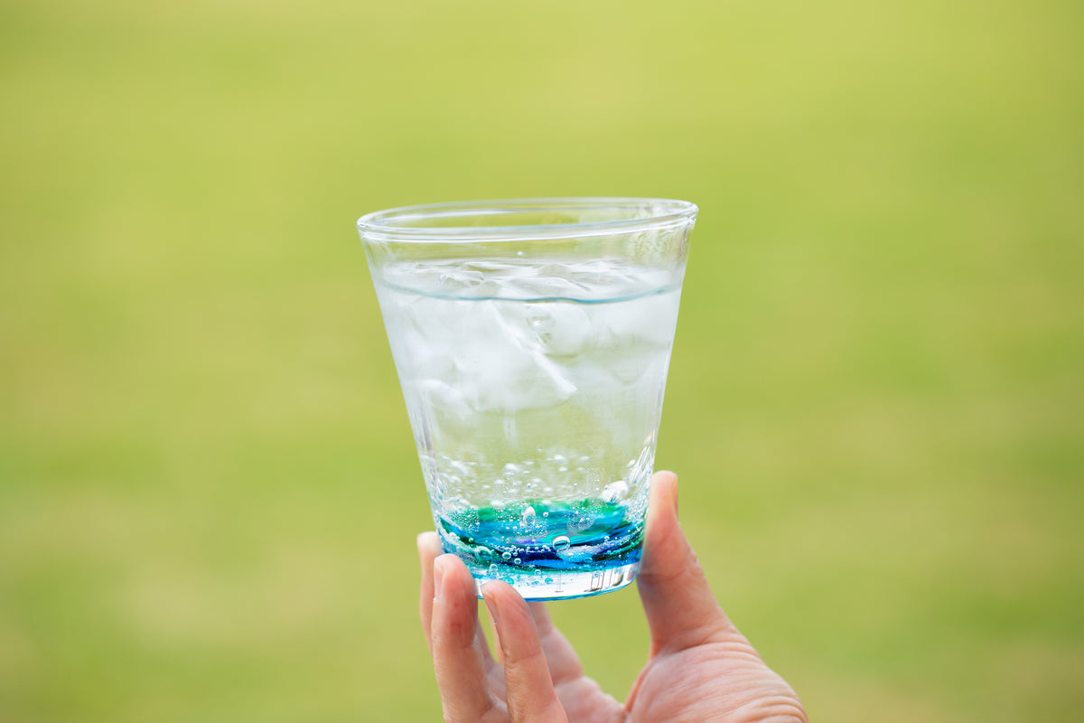 琉球*海花のたね　カラフル エアファーン　グラデーション12本セット　2025 琉球ガラスの海風 アイスクラック一輪 オンラインストア 人気