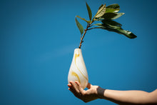 画像をギャラリービューアに読み込む, カルセオレ