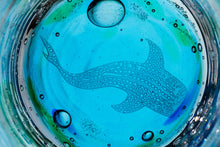 画像をギャラリービューアに読み込む, オキナワオーシャン ロックグラス ジンベエ