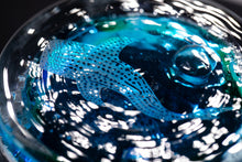 画像をギャラリービューアに読み込む, オキナワオーシャン ロックグラス ジンベエ