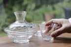 ヘビの酒ボトル / 琉球ガラス【RYUKYU GLASS WORKS 海風】