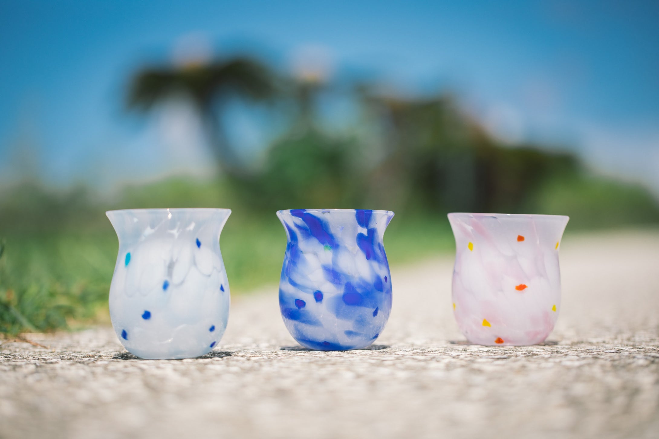 コスモス 長たるグラス